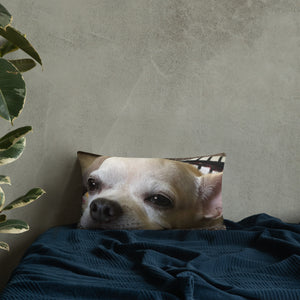 Basic Pillow