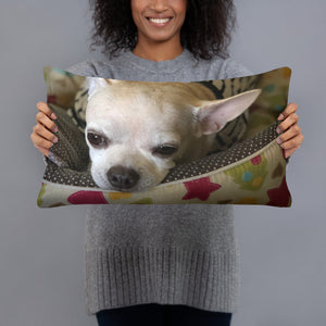 Basic Pillow