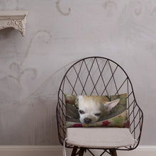 Load image into Gallery viewer, Basic Pillow
