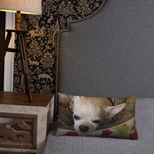 Load image into Gallery viewer, Basic Pillow
