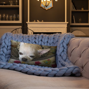 Basic Pillow