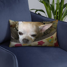 Load image into Gallery viewer, Basic Pillow
