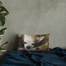 Load image into Gallery viewer, Basic Pillow
