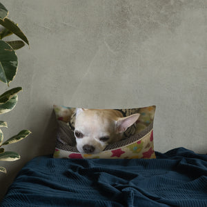 Basic Pillow
