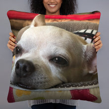 โหลดรูปภาพลงในเครื่องมือใช้ดูของ Gallery Basic Pillow
