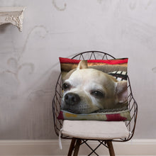 Load image into Gallery viewer, Basic Pillow

