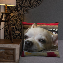 Load image into Gallery viewer, Basic Pillow
