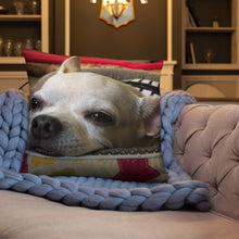 Load image into Gallery viewer, Basic Pillow
