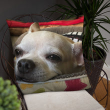 Load image into Gallery viewer, Basic Pillow
