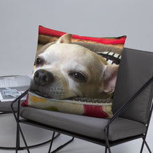 Load image into Gallery viewer, Basic Pillow
