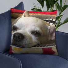 Load image into Gallery viewer, Basic Pillow
