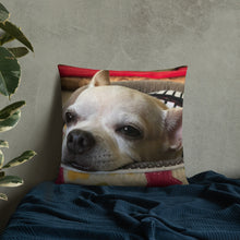 Load image into Gallery viewer, Basic Pillow
