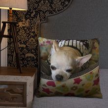 Load image into Gallery viewer, Basic Pillow
