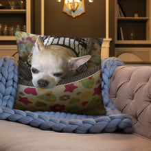 Load image into Gallery viewer, Basic Pillow
