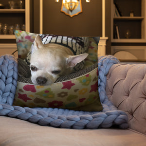 Basic Pillow