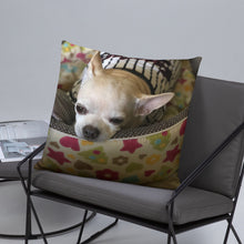 Load image into Gallery viewer, Basic Pillow
