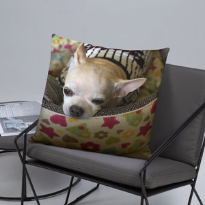 Basic Pillow