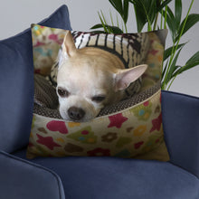 Load image into Gallery viewer, Basic Pillow
