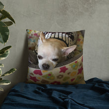 Load image into Gallery viewer, Basic Pillow
