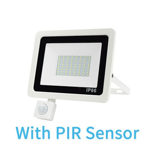 PIR Motion Sensor LED Floodlight 10W 20W 30W 50W 100W 220V Waterproof Outdoor Wall Garden LED Spotlight Reflector Foco Lamp