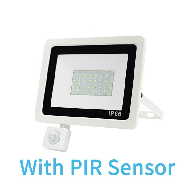 PIR Motion Sensor LED Floodlight 10W 20W 30W 50W 100W 220V Waterproof Outdoor Wall Garden LED Spotlight Reflector Foco Lamp
