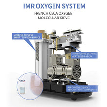 將圖片載入圖庫檢視器 In Stock 10L Medical Portable Oxygen Concentrator Machine High-quality Concentrador Oxigen Physical Therapy Equipments
